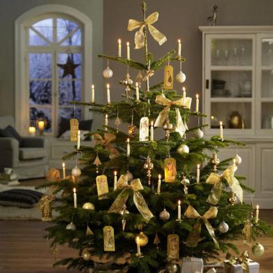 Weihnachtsbume: Nostalgie